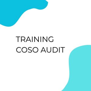 pelatihan COSO AUDIT online
