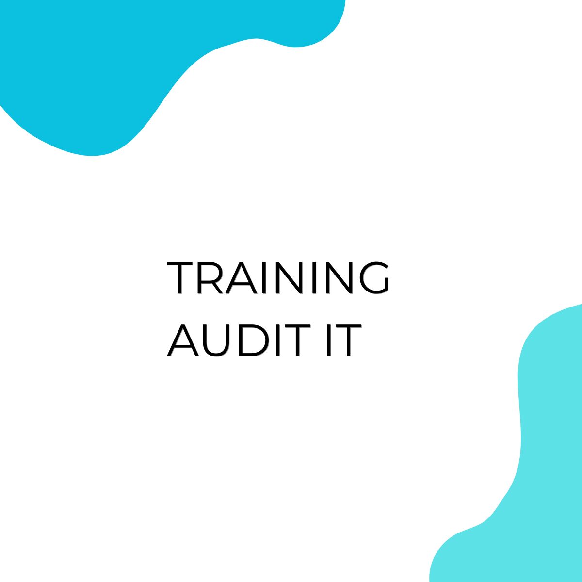 pelatihan Audit IT online