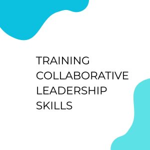 pelatihan Collaborative Leadership Skills online