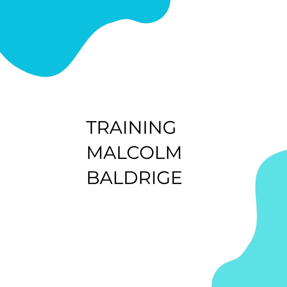 pelatihan Malcolm Baldrige online
